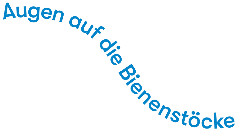 Top Decorative Image