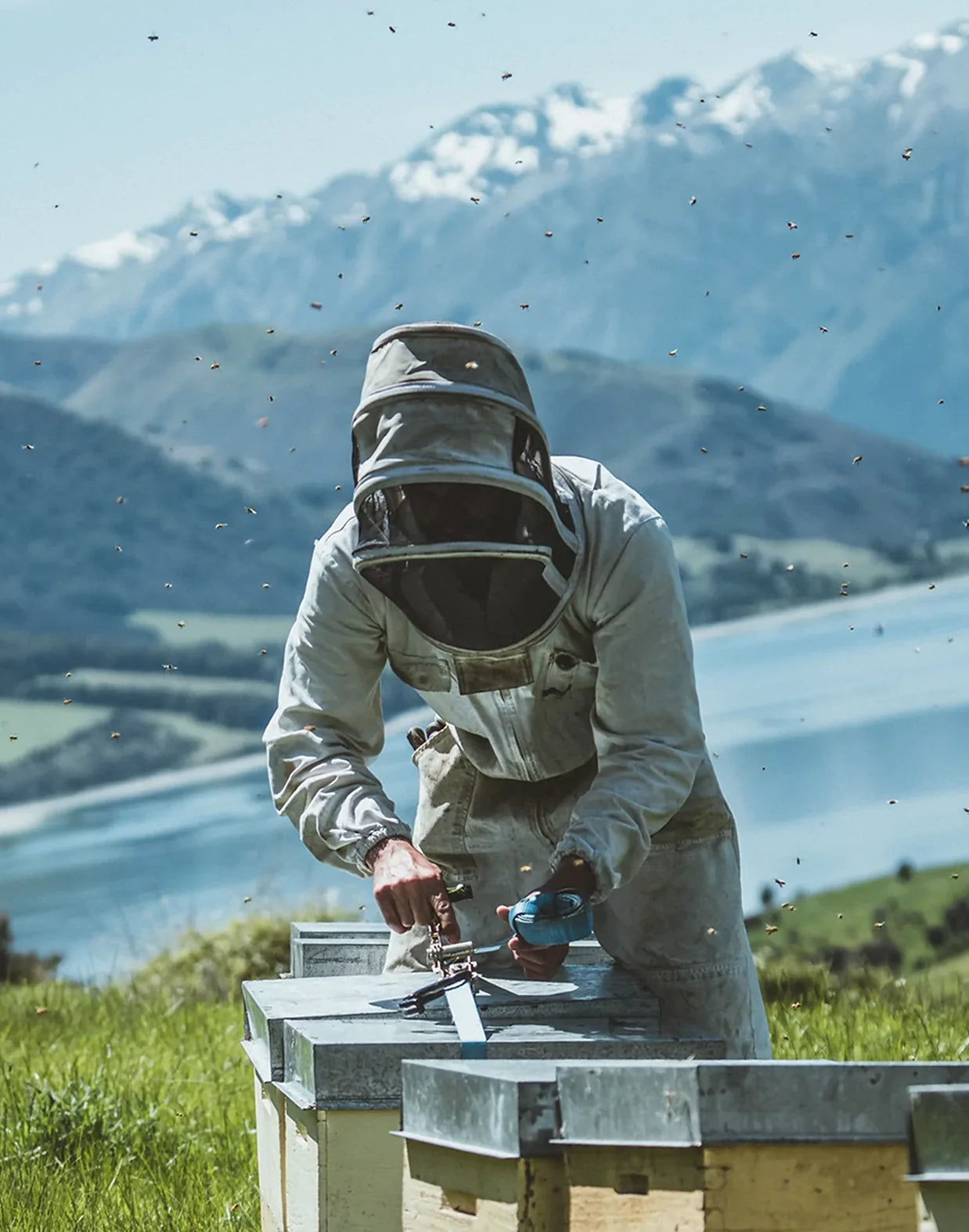 New Zealand Manuka Honey Beekeeper