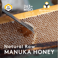 Manuka Honig UMF™ 10+ | MGO 263+ - New Zealand Honey Co. DE