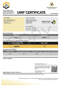 Manuka Honig UMF™ 10+ | MGO 263+ - New Zealand Honey Co. DE