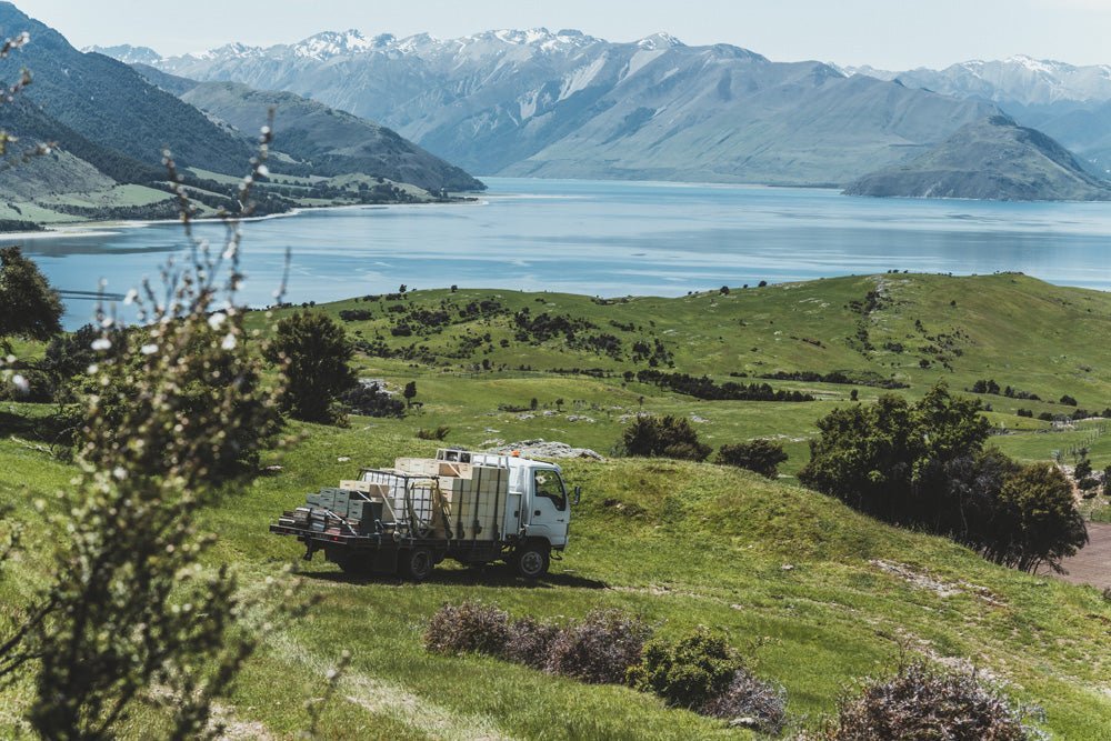 Manuka Honig UMF™ 15+ | MGO 514+ - New Zealand Honey Co. DE