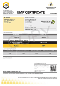 Manuka Honig UMF™ 20+ | MGO 829+ - New Zealand Honey Co. DE