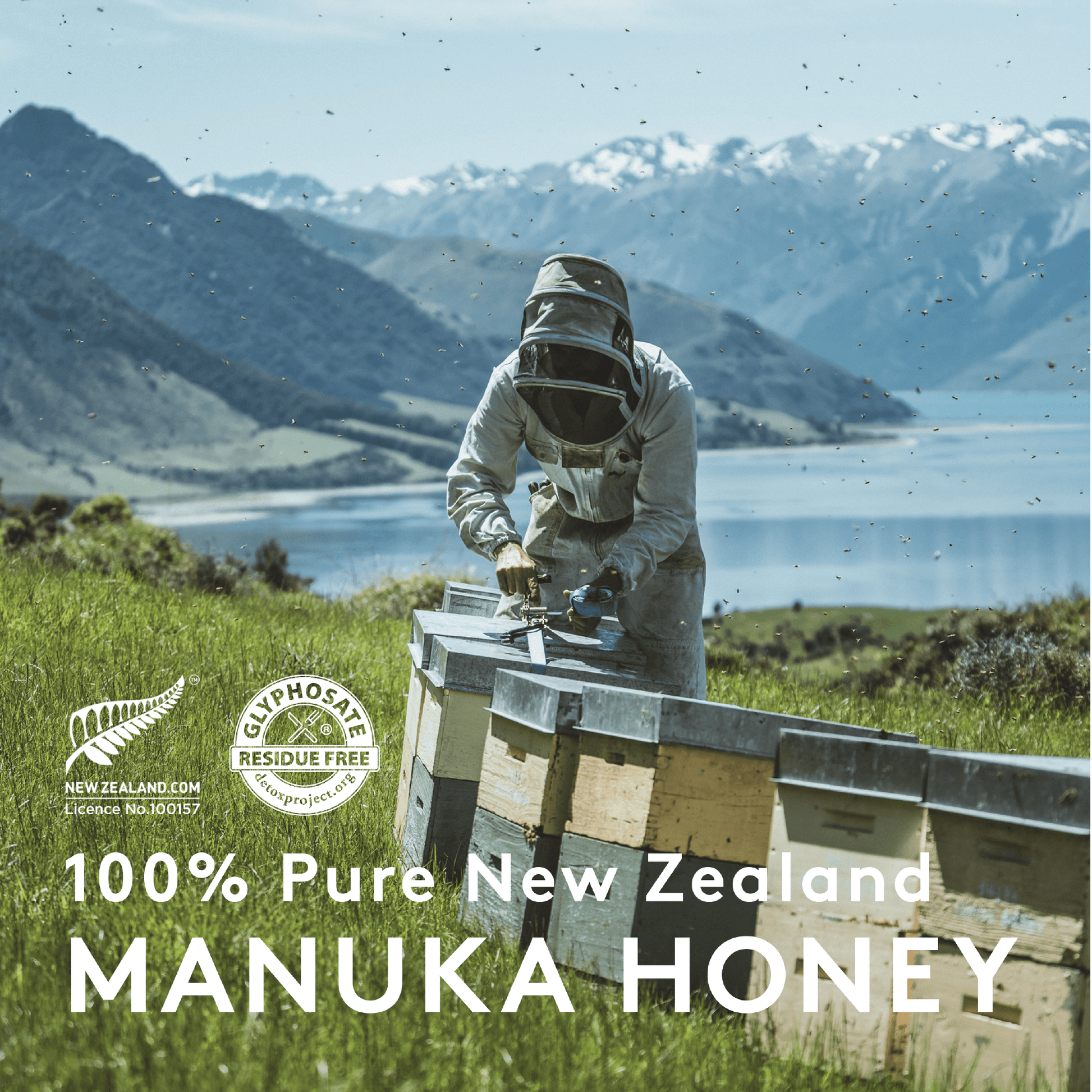 Manuka Honig UMF™ 20+ | MGO 829+ - New Zealand Honey Co. DE