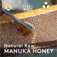Manuka Honig UMF™ 24+ | MGO 1122+ - New Zealand Honey Co. DE